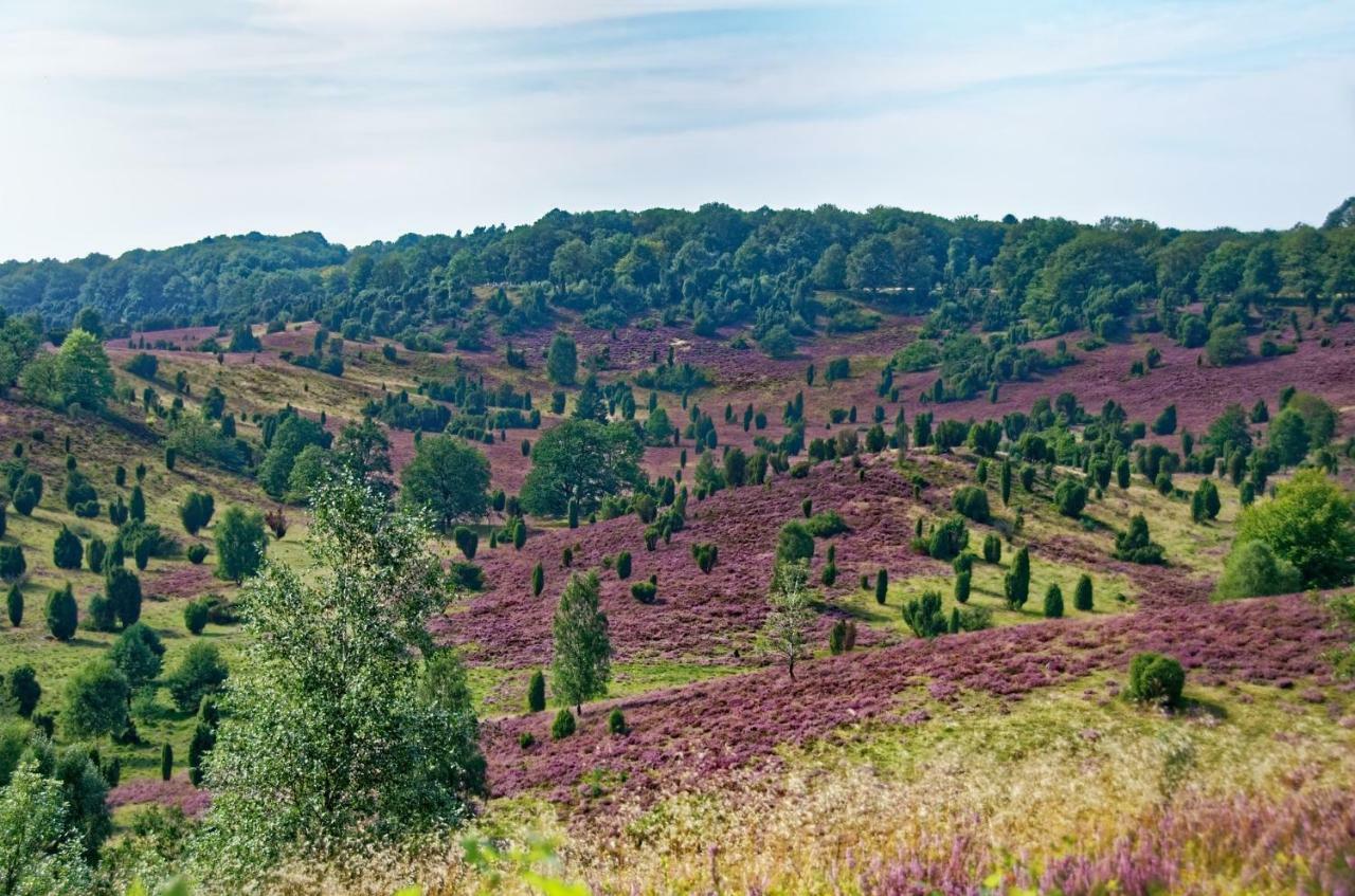 Ferienwohnungen Schaeferfeld Luneburg Bagian luar foto